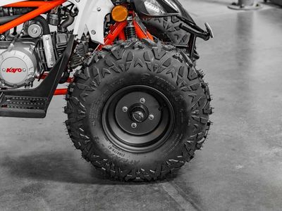 2026 Kayo Predator 110 - Photo 11