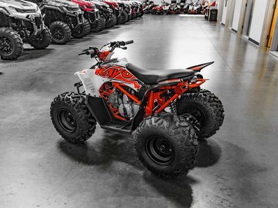 2026 Kayo Predator 110 - Photo 5