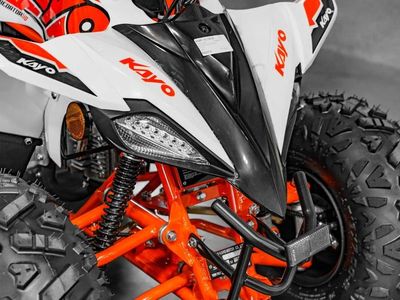 2026 Kayo Predator 110 - Photo 12