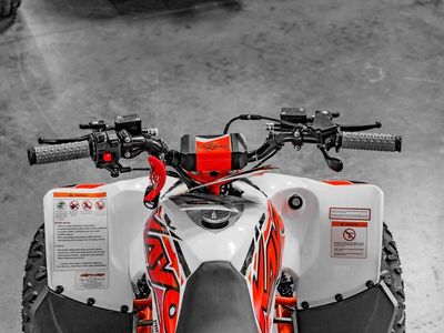 2026 Kayo Predator 110 - Photo 8