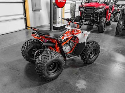 2026 Kayo Predator 110 - Photo 4