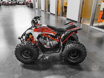 2026 Kayo Predator 110 - Photo 6
