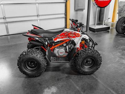 2026 Kayo Predator 110 - Photo 3