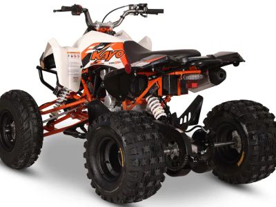 2026 Kayo Storm 300 EFI - Photo 7