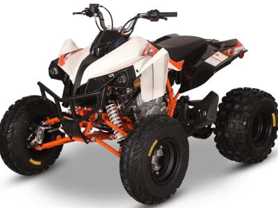2026 Kayo Storm 300 EFI - Photo 4