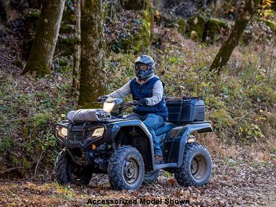2026 Honda FourTrax Foreman 4x4 EPS - Photo 14