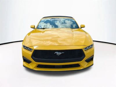 2024 Ford Mustang — rear three-quarter view