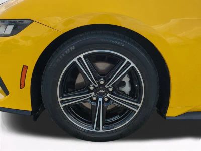 2024 Ford Mustang — photo 11 view