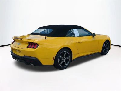 2024 Ford Mustang — detail view