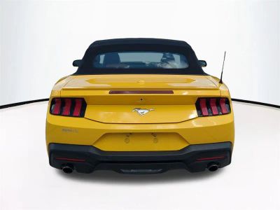 2024 Ford Mustang — engine compartment view