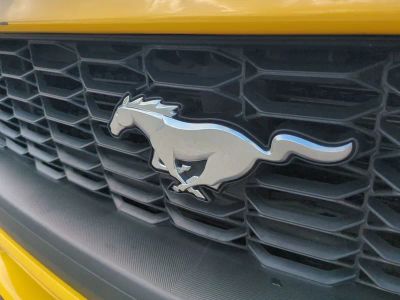 2024 Ford Mustang — photo 13 view