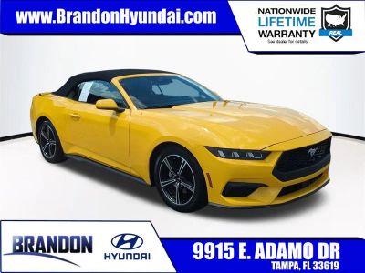 2024 Ford Mustang EcoBoost Premium in Yellow — front three-quarter view