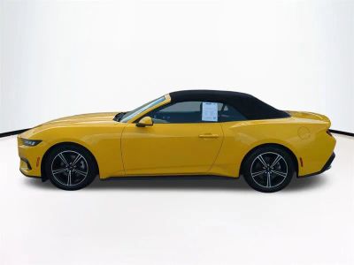 2024 Ford Mustang — photo 8 view