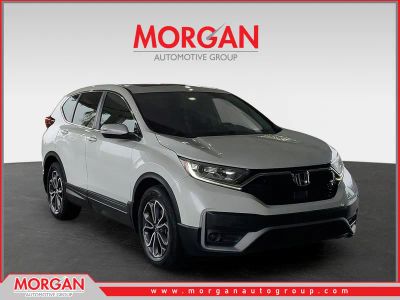 2020 Honda CR-V EX-L in White — front three-quarter view