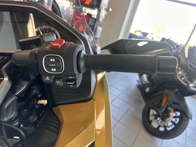 2025 Honda Gold Wing Tour 50th Anniversary - Photo 8