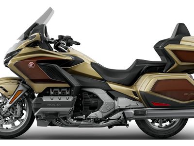 2025 Honda Gold Wing Tour 50th Anniversary - Photo 13