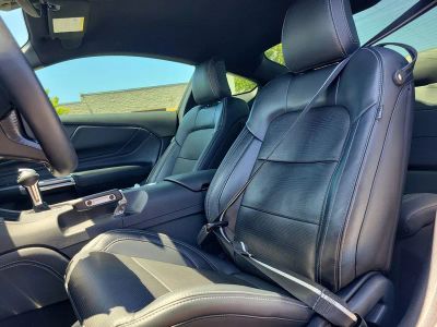 2024 Ford Mustang — photo 16 view