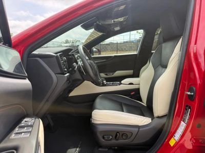 2022 Lexus NX — photo 23 view