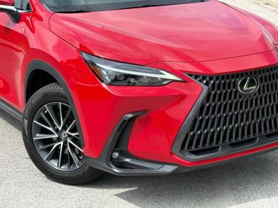 2022 Lexus NX — interior view