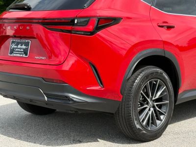 2022 Lexus NX — photo 13 view