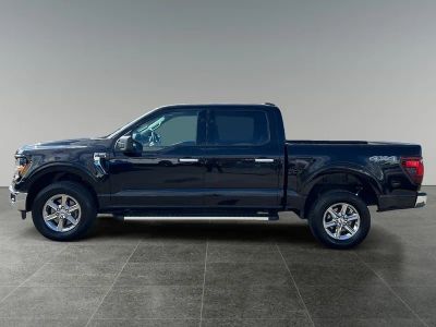 2025 Ford F-150 — detail view