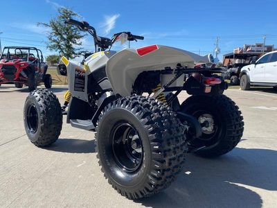 2026 Can-Am Renegade 110 EFI - Photo 4