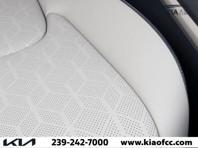 2026 Kia Carnival Hybrid — photo 14 view