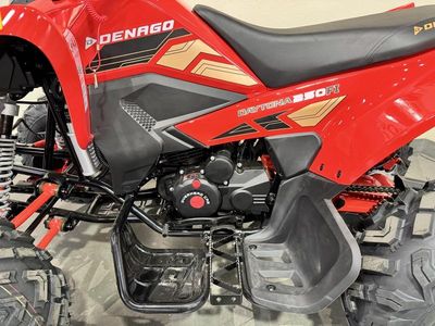 2025 Denago Powersports Daytona 250 FI - Photo 15