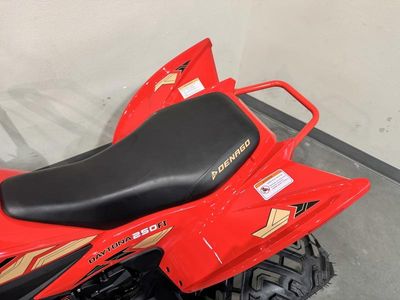 2025 Denago Powersports Daytona 250 FI - Photo 16