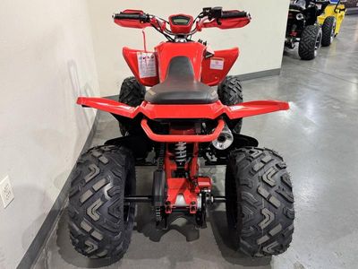 2025 Denago Powersports Daytona 250 FI - Photo 7