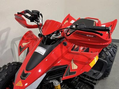 2025 Denago Powersports Daytona 250 FI - Photo 12