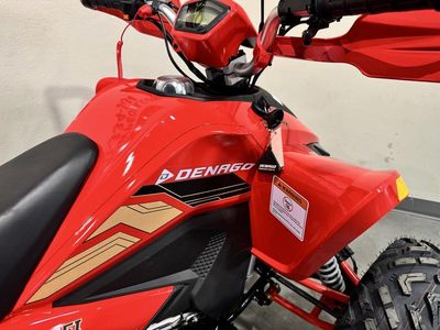 2025 Denago Powersports Daytona 250 FI - Photo 11
