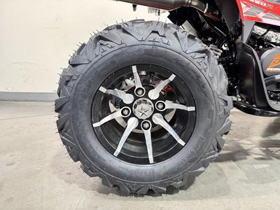 2025 Denago Powersports Daytona 250 FI - Photo 19
