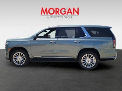 2023 Cadillac Escalade — detail view