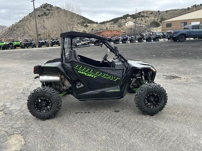 2016 Arctic Cat Wildcat Sport Limited EPS — detail view