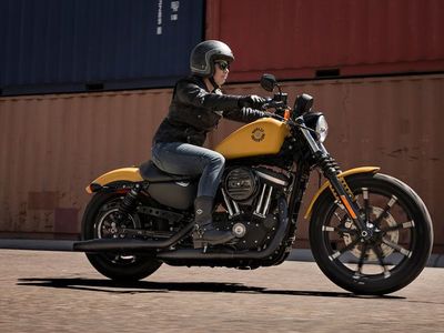 2019 Harley-Davidson Iron 883 - Photo 3