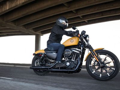 2019 Harley-Davidson Iron 883 - Photo 10