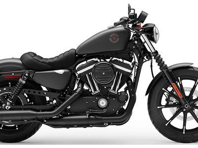 2019 Harley-Davidson Iron 883 - Photo 9