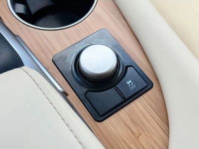 2018 Lexus RX — photo 31 view