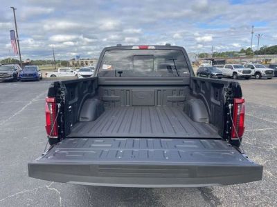 2025 Ford F-150 - Photo 10