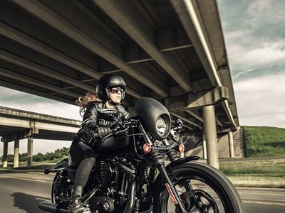 2016 Harley-Davidson Iron 883 - Photo 8