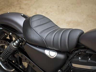 2016 Harley-Davidson Iron 883 - Photo 5