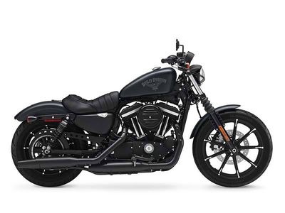 2016 Harley-Davidson Iron 883 - Photo 1