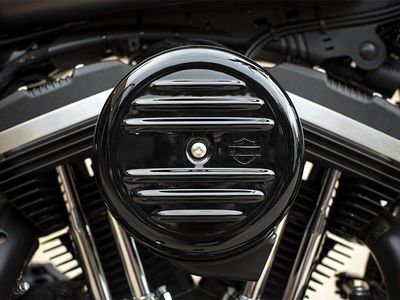 2016 Harley-Davidson Iron 883 - Photo 4
