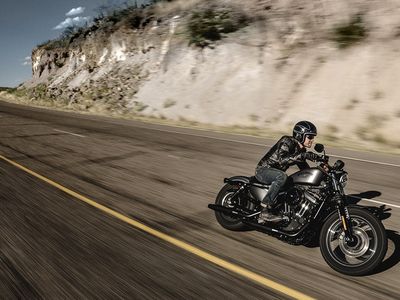2016 Harley-Davidson Iron 883 - Photo 9