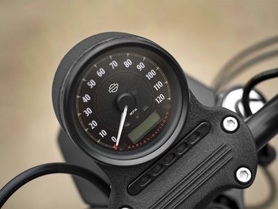 2016 Harley-Davidson Iron 883 - Photo 3