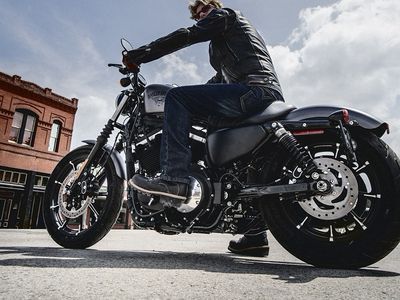 2016 Harley-Davidson Iron 883 - Photo 10