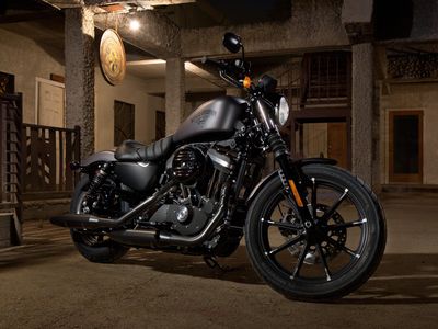 2016 Harley-Davidson Iron 883 - Photo 2