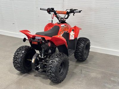 2026 Kayo Fox / Storm 70 - Photo 10