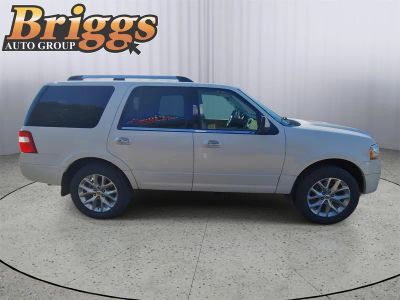 2015 Ford Expedition — detail view